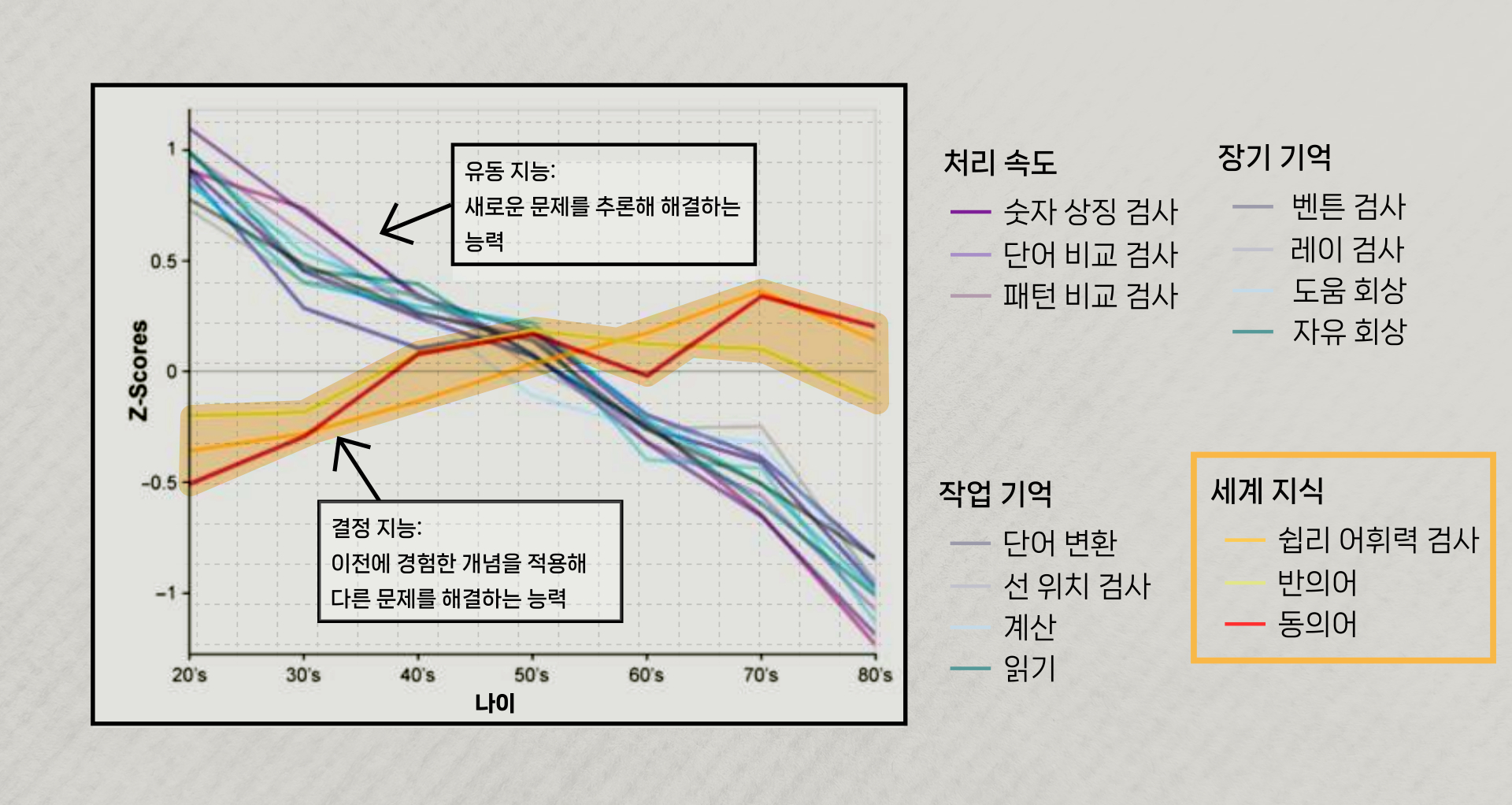 나이가 들어도 유지되는 지능도 있다. 결정지능이라는 지혜와 연륜의 영역이다. 이하 그래픽 이가진·박지은