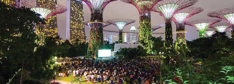 올해 오키드 쇼의 주요 컨셉트인 싱가포르 가든스바이더베이의 수퍼트리 그로브와 스카이웨이. [사진 Gardens by The Bay]