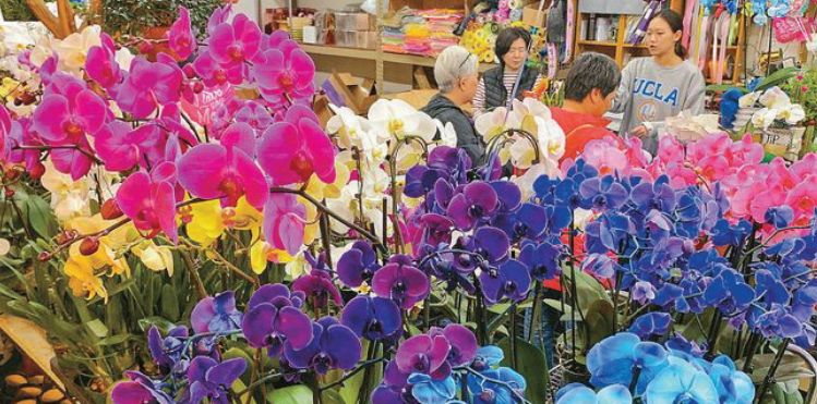 마더스데이를 이틀 앞둔 10일 다운타운의 꽃 도매상가는 꽃을 사려는 사람들로 북적였다. 한인이 운영하는 꽃가게에서 손님들이 꽃을 고르고 있다.