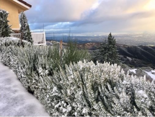 지난 4일 산타크루즈 고지대 한 주택에서 찍은 눈 내린 풍경