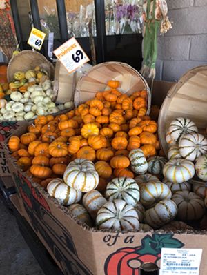 Numerous pumpkins with different shapes and sizes are on sale in Trader Joe’s now.[Source: Soyeon(Saige) Park]