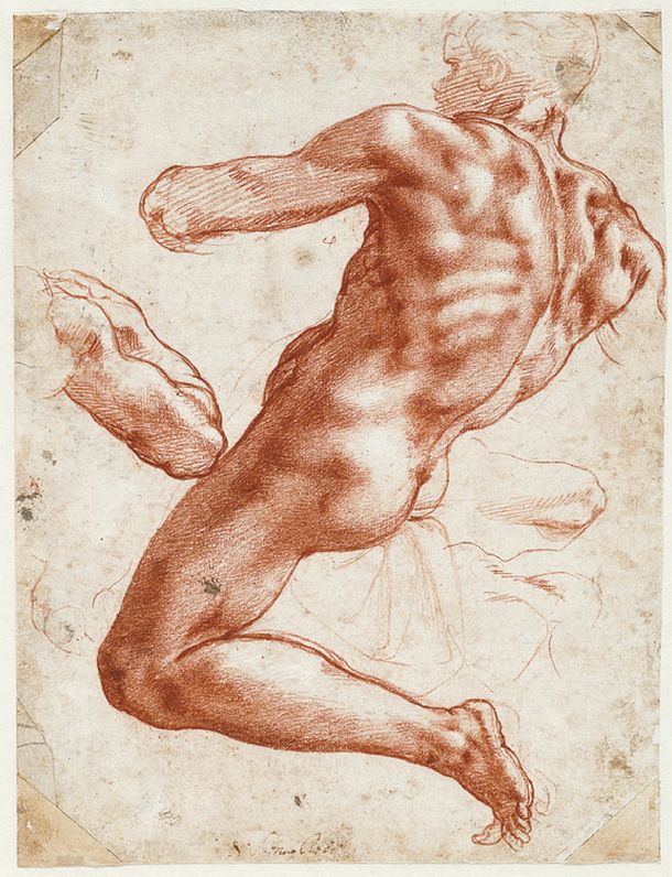 미켈란젤로 작품 'Seated male nud; separate study of his right arm, 1511, Red chalk, heightened with white; 27.9x21.4 cm.' [사진:Teylers Museum, Haarlem]