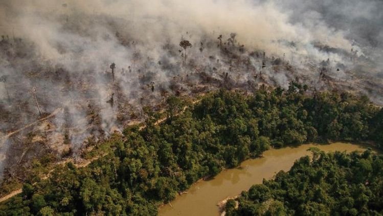 아마존 열대우림 파괴의 주범으로 꼽히는 화재가 좀처럼 진정세를 보이지 않고 있다.  [사진 그린피스]