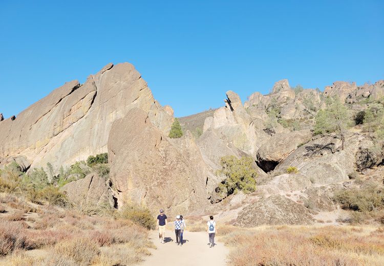 2013년 국립공원으로 지정된 마운틴 피너클스전경. 기기묘묘한 바위 사이로 걷는 맛이 쏠쏠하다