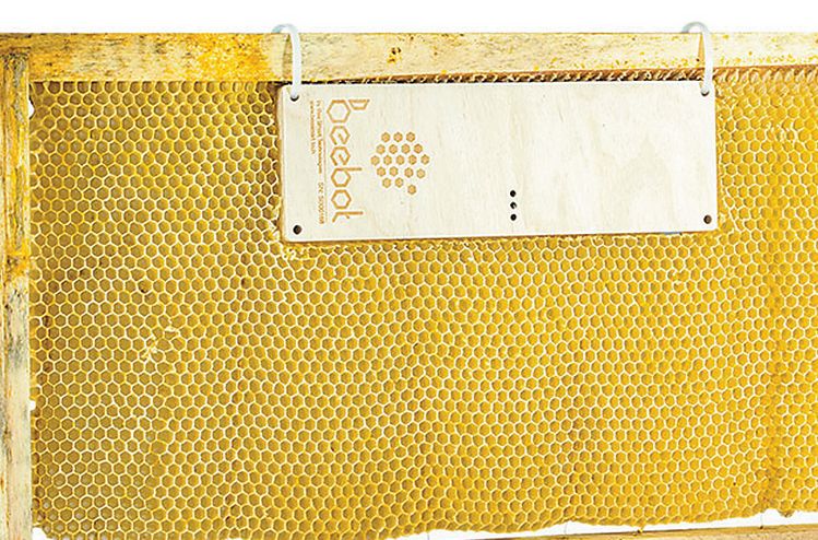 꿀벌을 돕는 폴레니티의 비봇. [각 업체 웹사이트 캡처]
