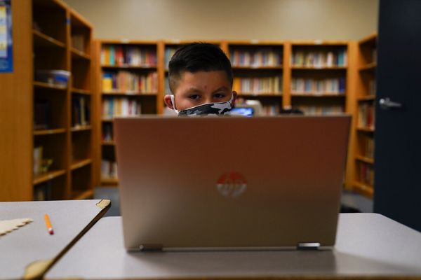 온라인 수업을 듣고 있는 학생. AP