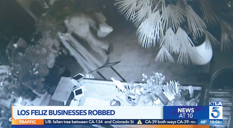 한인이 운영하는 꽃가게 CCTV에 강도가 침입한 모습이 담긴 모습. [KTLA5 캡처]