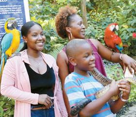 미니 동물원에서 열대우림의 뱀과 앵무새들과 사진을 찍는 관광객들.