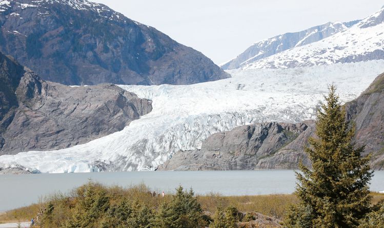 빙하의 끝부분이 절벽을 이루고 있고, 호수에는 유빙이 떠다녔던 11년 전의 모습(위 사진)과 빙하가 녹아내려 믿믿한 모습을 보이는 빙하와 유빙이 사라진 호수의 모습(아래 사진). 기후가 따뜻해지자 11년 전에는 없던 나무들이 자라났다.