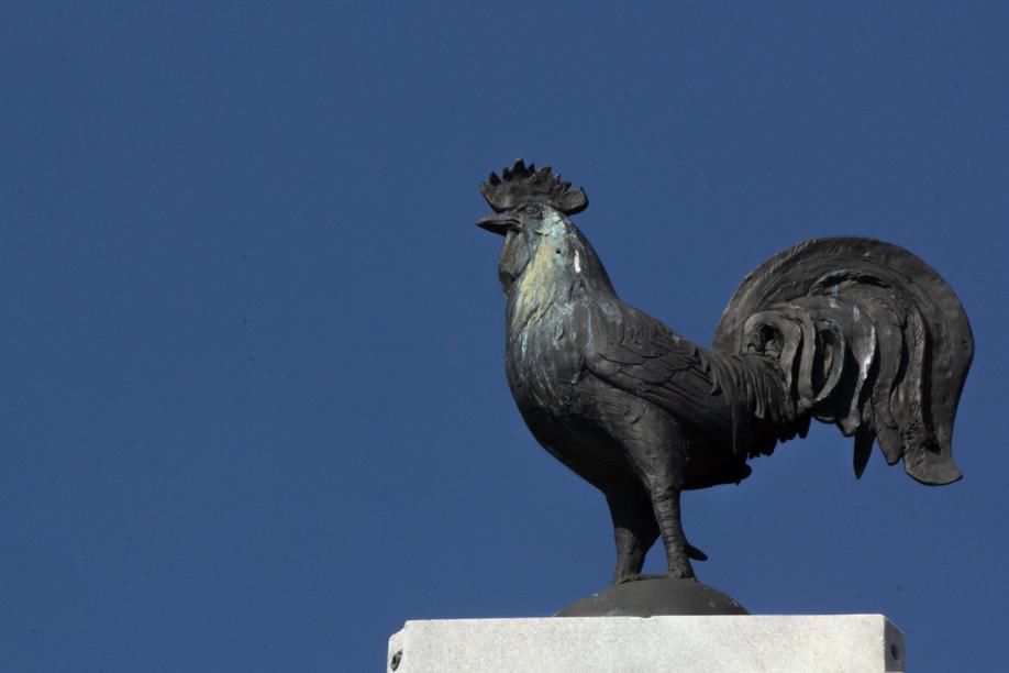 양계산업의 수도로 불리는 게인스빌의 닭 동상.