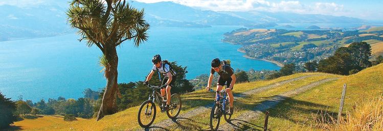 론리플래닛이 선정한 ‘세계 10대 자전거 여행지’인 오타고 반도. [뉴질랜드관광청 웹사이트 캡처]