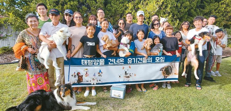 한국에서 구출한 입양견들의 가족들이 15일 팔로스버디스 소재 포스터홈에 모여 안부를 묻고 정보를 나눴다. 매년 서부지역에는 한국에서 온 300여 마리의 개들이 입양 가족들을 만나고 있는 것으로 알려졌다.