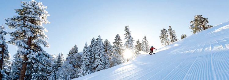 지난 9일 매머드 스키장을 시작으로 스키장들이 속속 개장을 앞두고 있다. 사진은 빅베어 스키장. [빅베어 리조트 웹사이트]