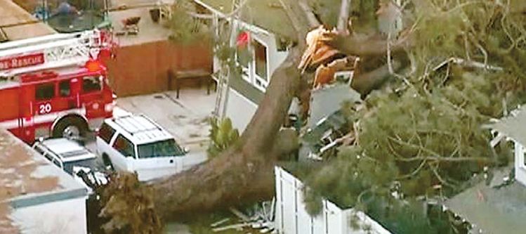 21일 샌디에이고 인근 포인트로마하이츠 지역 한 주택가에 대형 나무가 강풍에 쓰러져 주택을 덮쳤다. 이 사고로 집 안에 있던 2명이 숨졌다. [ABC 뉴스 화면 캡처]