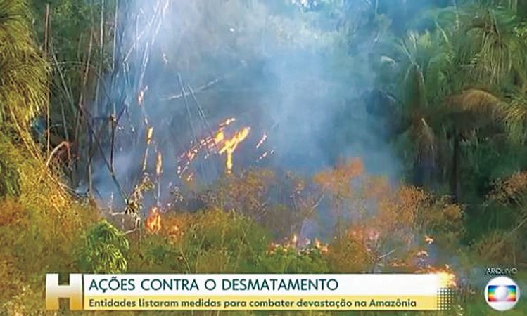 산불이나 벌목 등으로 2019년 8월부터 2020년 7월까지 아마존 열대우림 파괴 면적이 9천205㎢로 이전 1년간보다 34.5%나 늘었다. [브라질 글로부 TV]