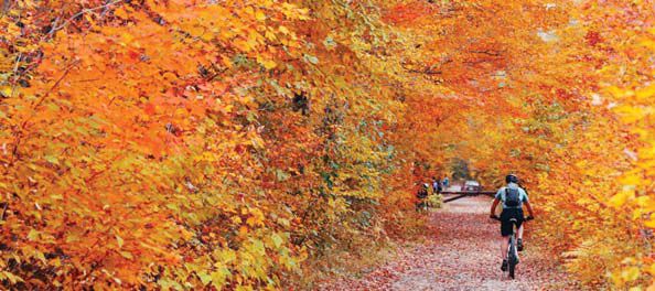 가을철 아름다운 단풍 속을 달리는 자전거 하이킹도 스토에서 빼놓을 수 없는 재미다.