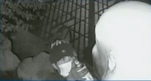 마스크와 모자로 얼굴을 가른 여성 용의자가 불상을 훼손하는 모습. [샌타애나 경찰국 제공, abc7캡처]