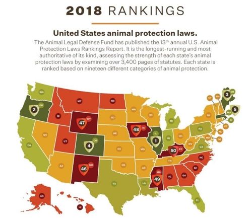 2018 미국 동물 보호법 주별 순위. [동물 합법적 보호 기금 ALDF] 