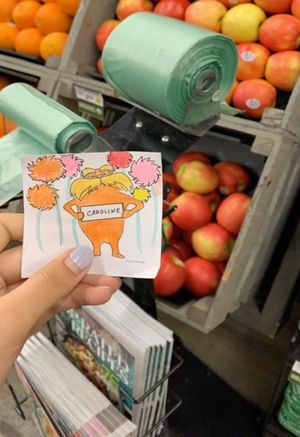 Disposable bags that were found at the grocery store photographed with the Lorax to be included in a letter to be sent to peers.  Source: Author, Caroline Kim