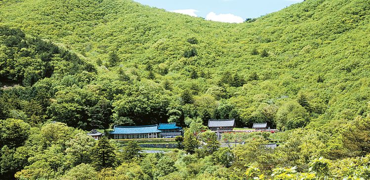 경북 김천 시내에서 차를 타고 1시간 가량 수도산으로 들어가면 수도암이 있다. 수도암은 해발 950m에 있다. 백성호 기자