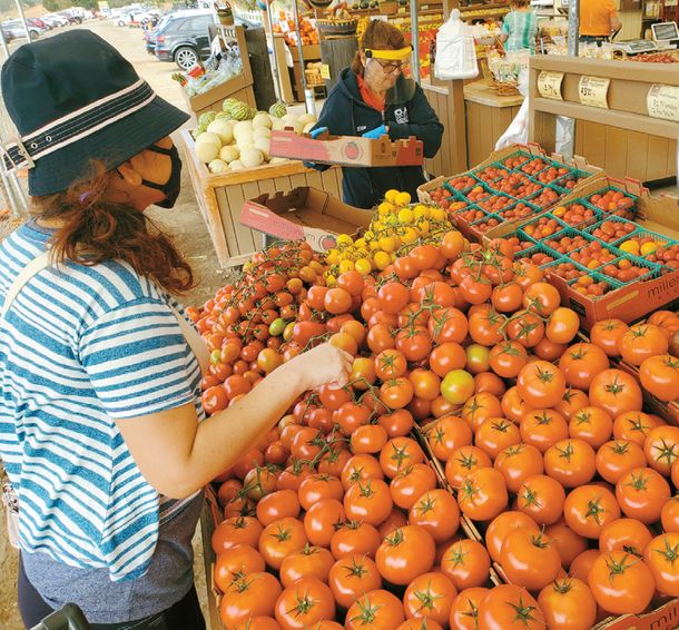 농장서 재배된 과일, 채소들을 판매하는 파머스 마켓. [독자 정승은씨 제공]