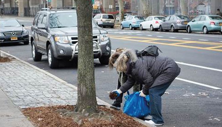 뉴욕시 공원국은 오는 14일 로어 이스트사이드에서 시민들이 참여해 가로수를 관리하는 자원봉사 프로그램을 실시한다. 참가자들은 나무를 판별하는 방법, 땅을 북돋는 방법 등을 배울 수 있다.  [뉴욕시 공원국 웹사이트 캡처]