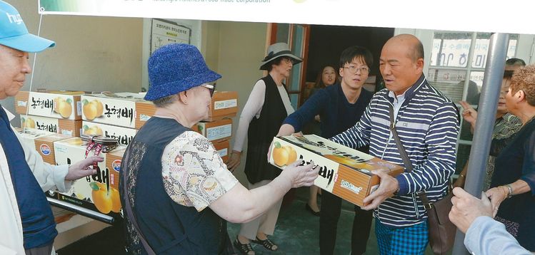 OC한미노인회 봉사자가 한인들에게 신고배를 나눠주고 있다.