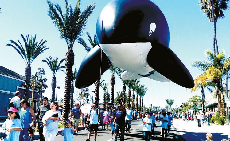 데이나포인트에서 펼쳐지는 고래 축제의 고래 퍼레이드. [각 행사 페이스북 캡처]