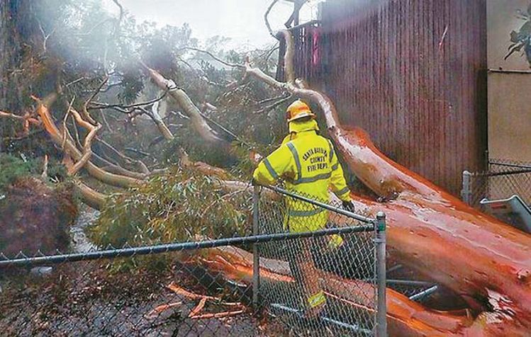 글로벌 부동산 투자 관리회사인 ULI와 하이트만이 새로운 보고서에서 기후변화 리스크가 부동산 투자에서 최우선 과제가 됐다고 밝혔다. 폭우로 나무가 쓰러진 샌타바버러의 아파트.