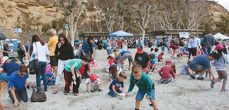 데이나포인트에서 2주에 걸쳐 개최되는 고래 축제에서 어린이들이 보물찾기를 하고 있다.  [각 웹사이트 캡처]