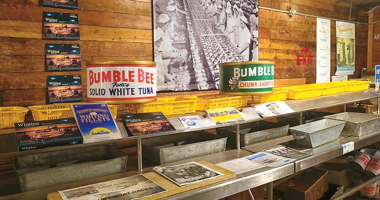 박물관에는 이 공장에서 사용되던 오래된 통조림 가공기계, 통조림 가공 전 참치를 저장했던 냉동실과 참치, 연어를 낚던 배와 장비들을 전시하고 있다.